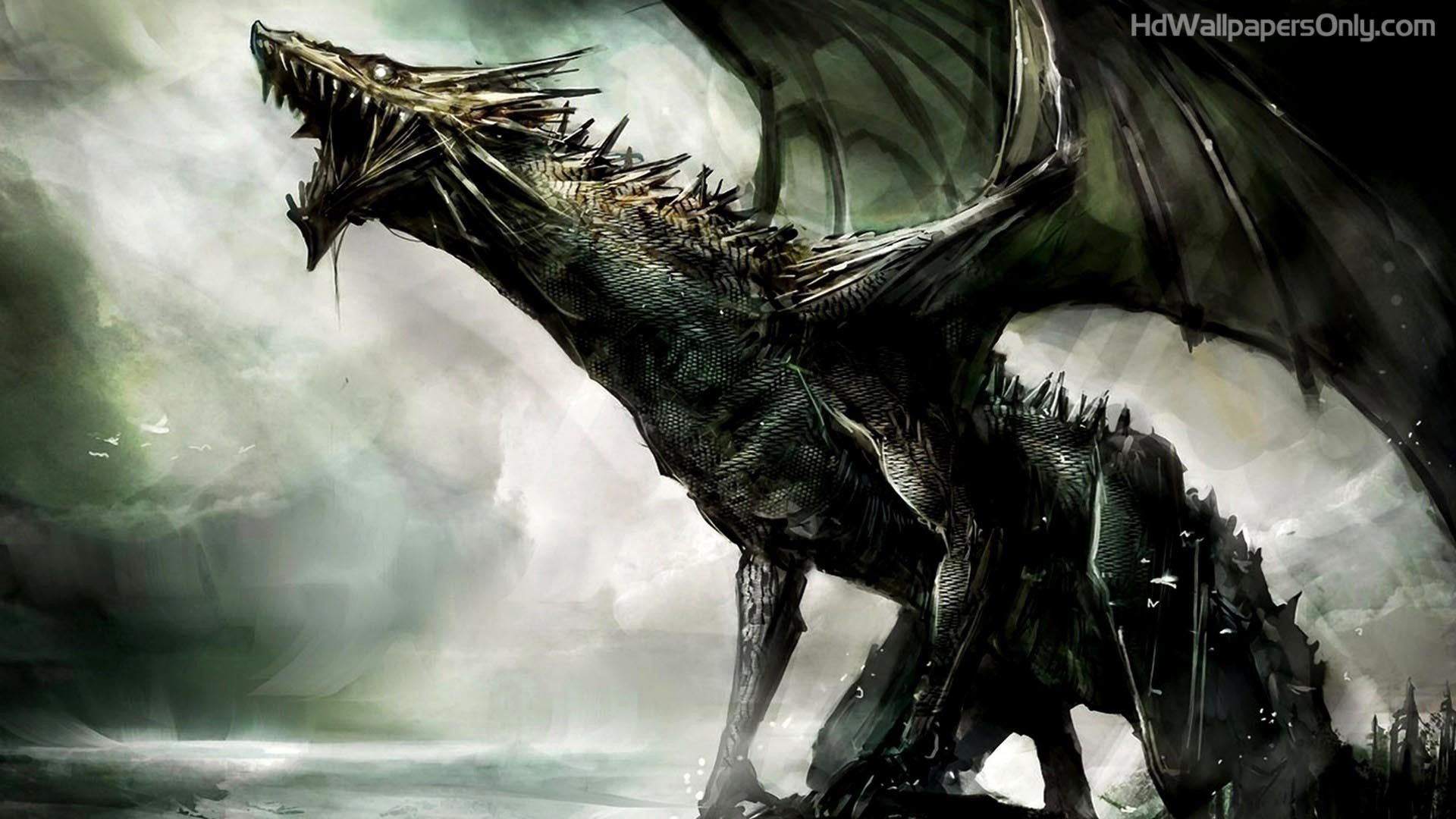 1920x1080 Real Dragon Wallpaper Free Real Dragon Background, Desktop