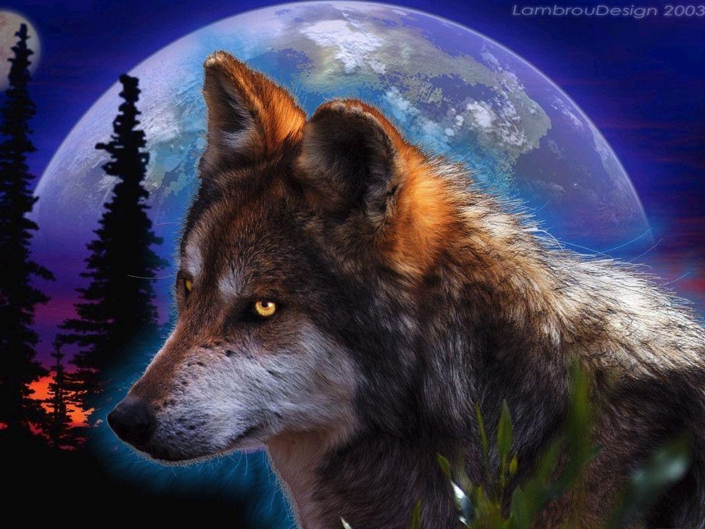 1030x770 Night Wolf Wallpaper and Picture Items, Desktop