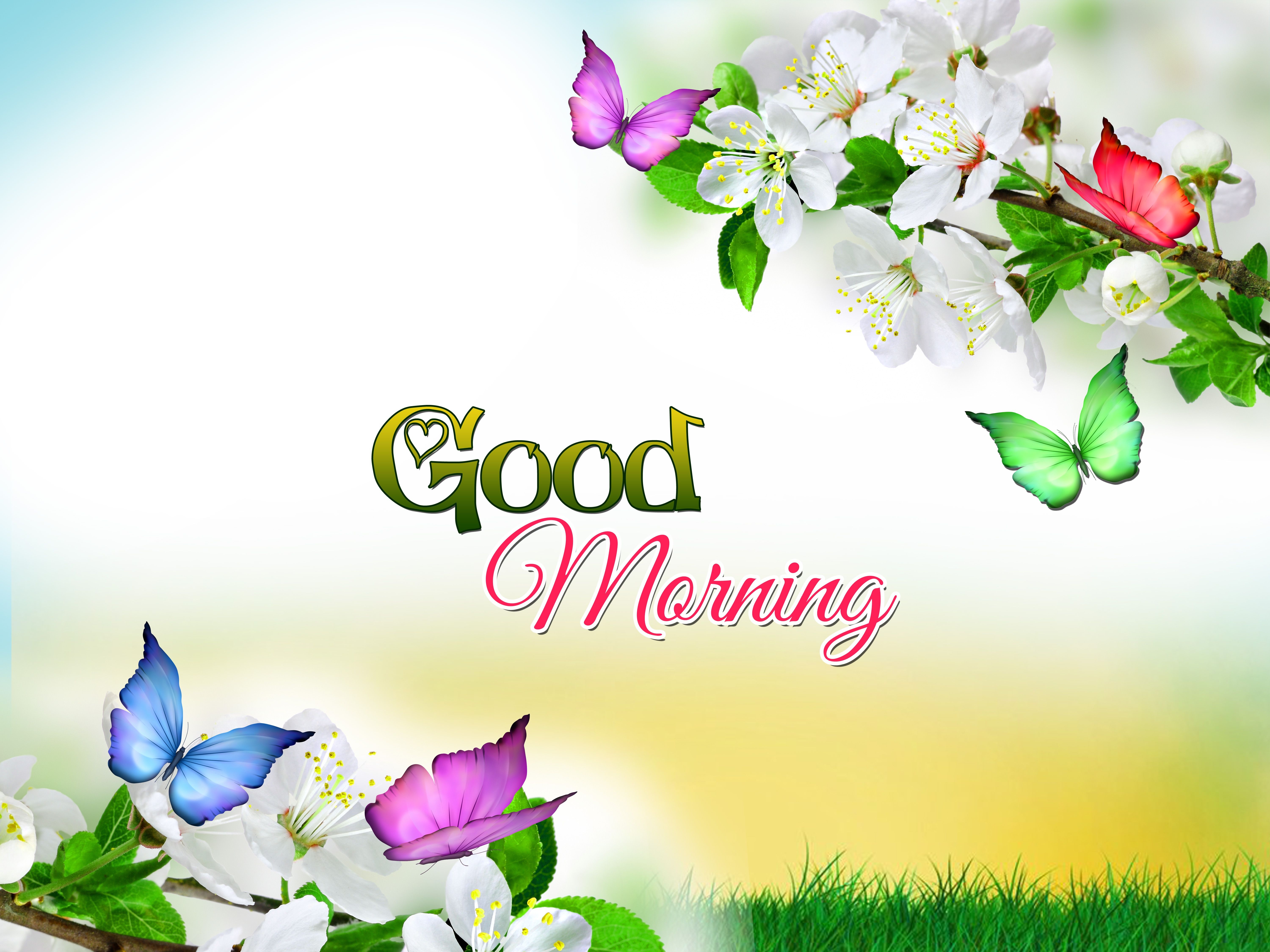 6000x4500 Free Good Morning Wallpaper Picture, Desktop