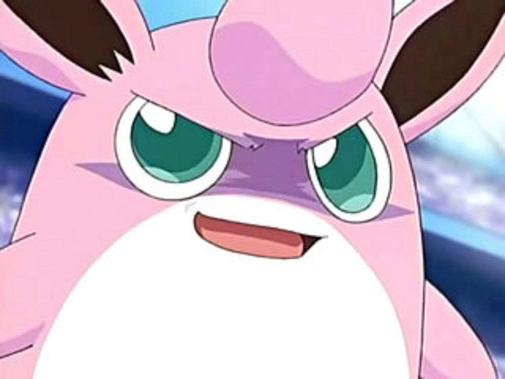 1030x770 Wigglytuff the pink wonder. Pokémon Amino, Desktop