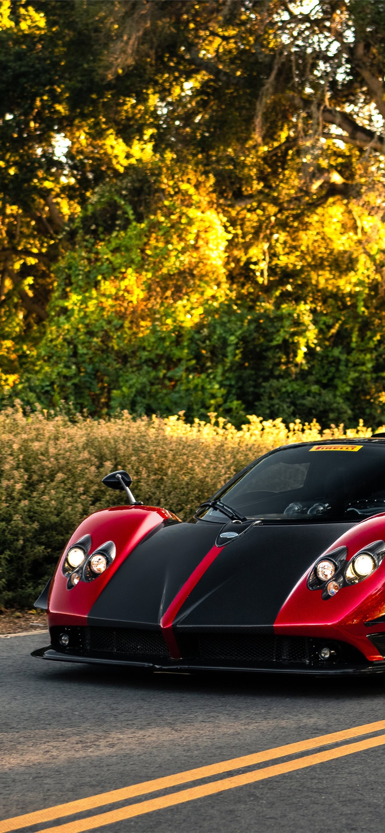 1290x2780 Best Pagani iPhone HD Wallpaper, Phone