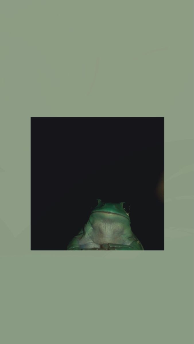 680x1200 cute frog wallpaper aesthetic. Frog wallpaper, Cute frogs, Frog art, Phone