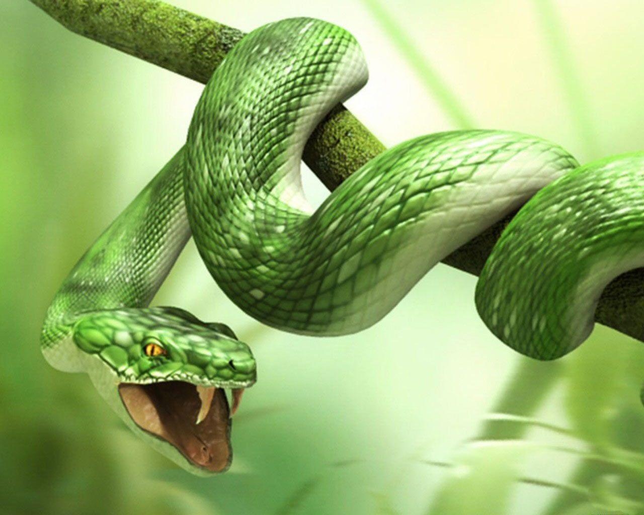 1280x1030 Green 3D Snake HD Wallpaper Wallpaper Inn, Desktop