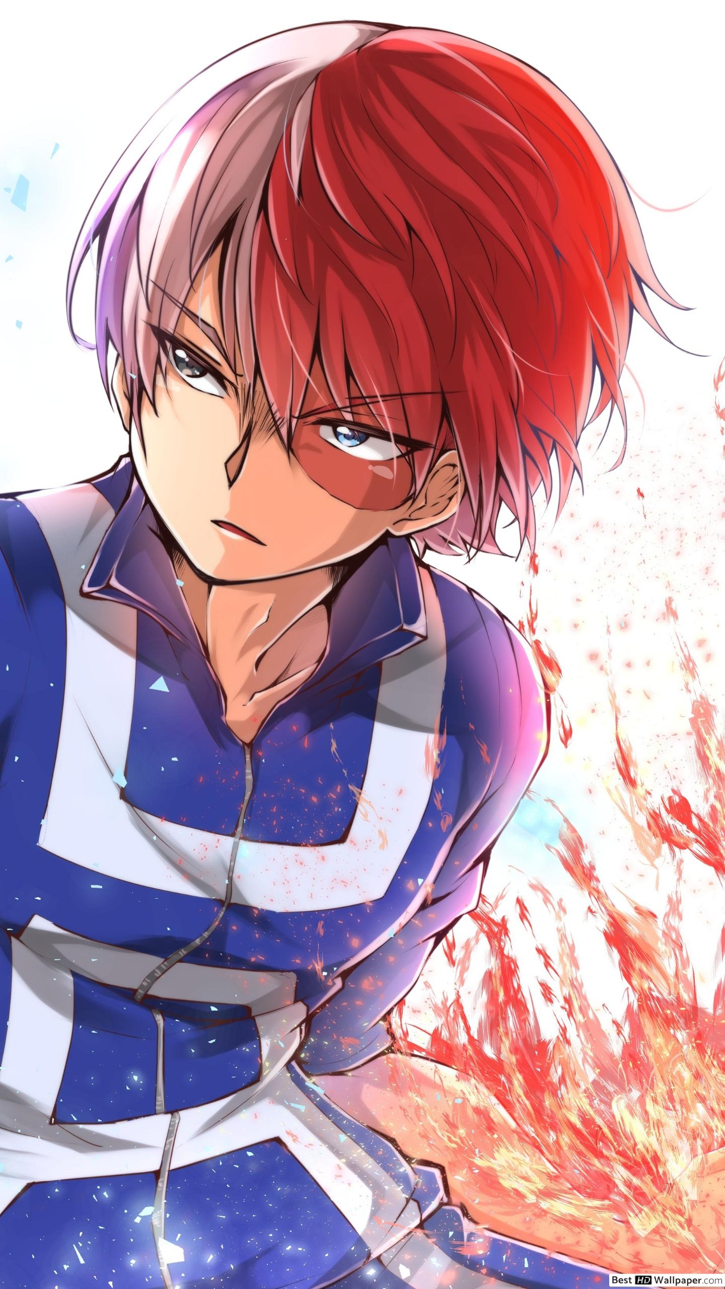 1440x2560 My Hero Academia Todoroki Half Cold Half Hot HD Wallpaper, Phone