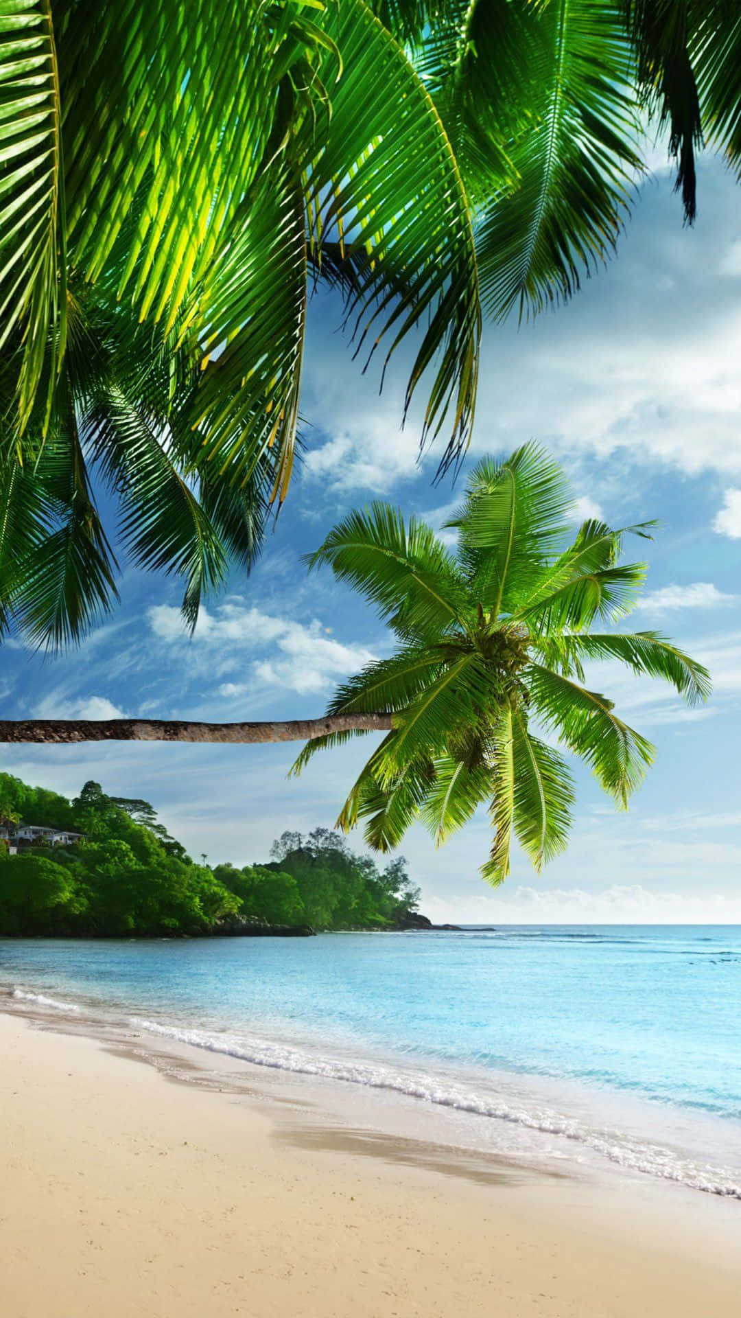 1080x1920 Download Relaxing Tropical iPhone Beach Paradise Wallpaper, Phone