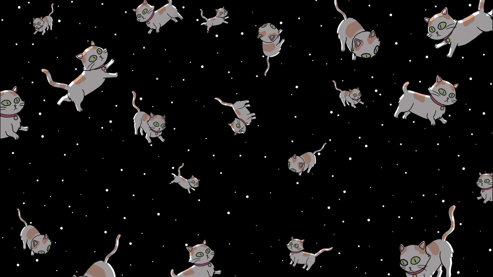 1920x1080 Noticed a disturbing lack of space cat wallpaper around so I made one, Download link in description, Desktop