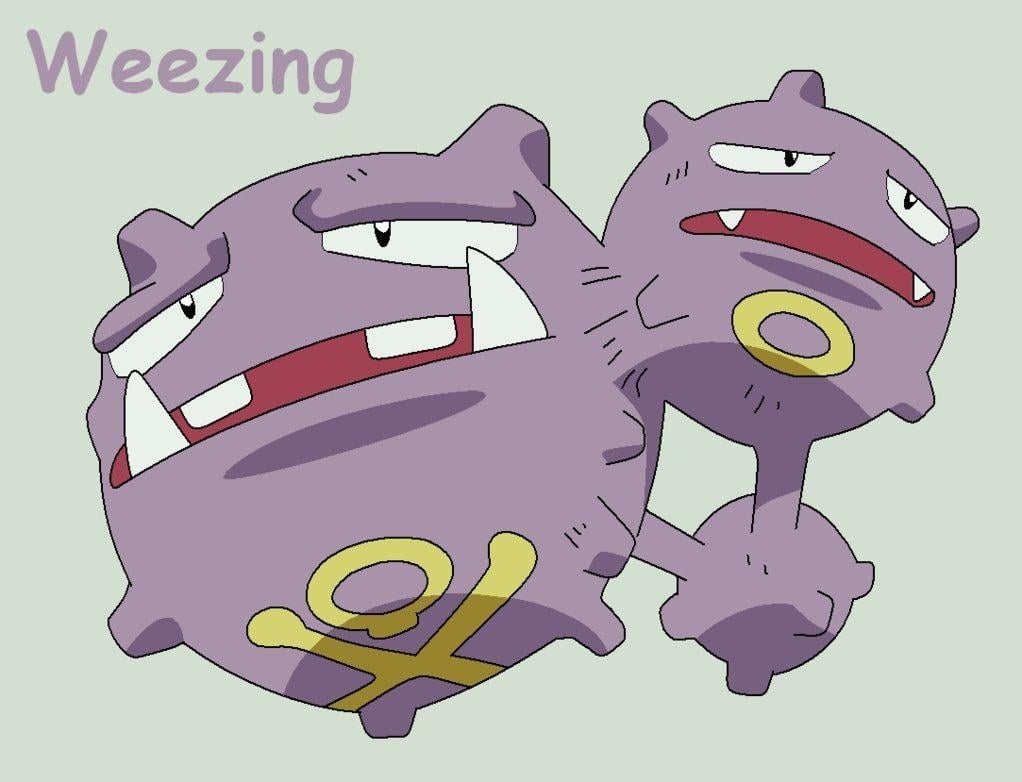 1030x790 Weezing, Desktop