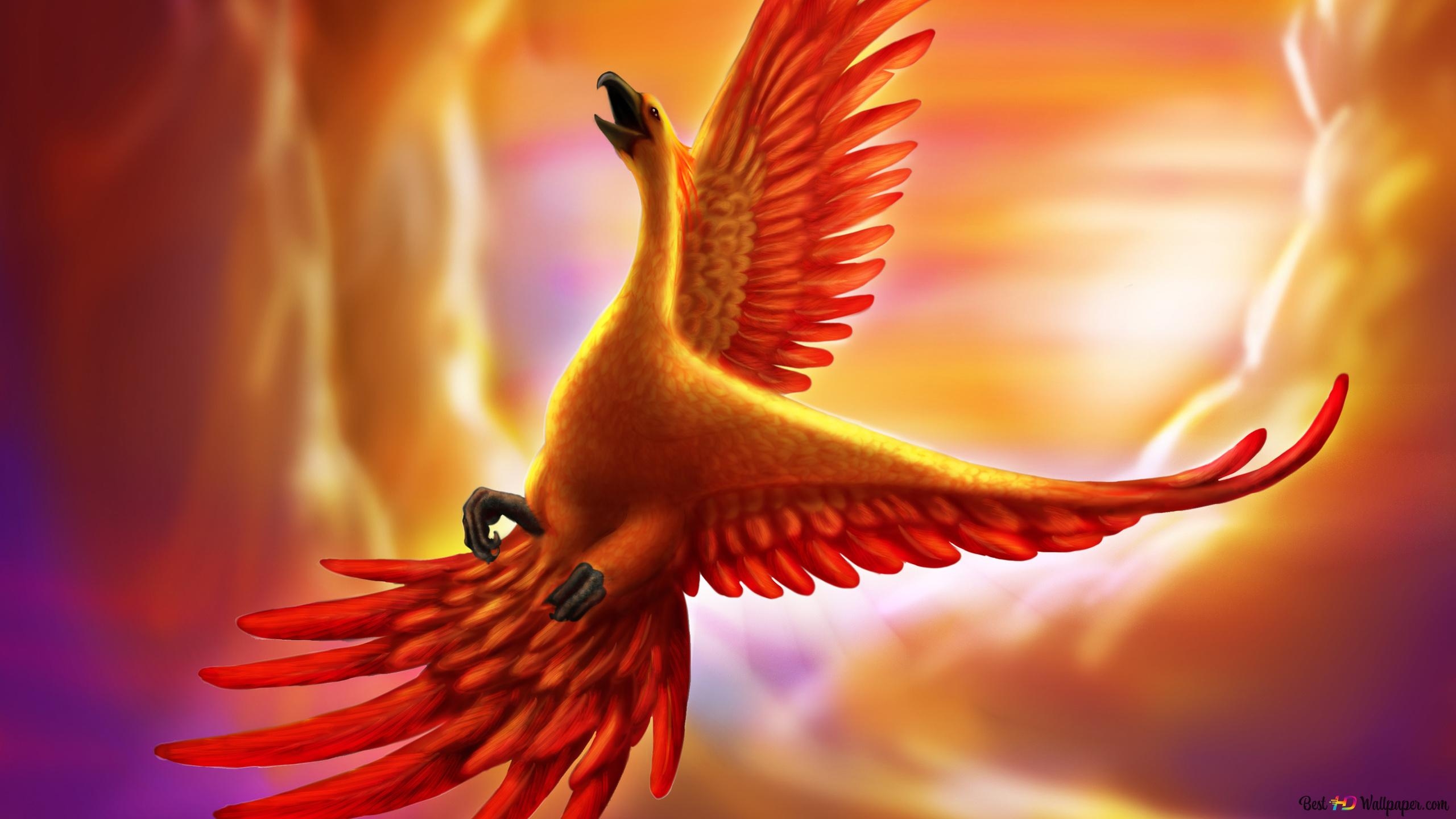 2560x1440 Phoenix Bird 2K wallpaper download, Desktop