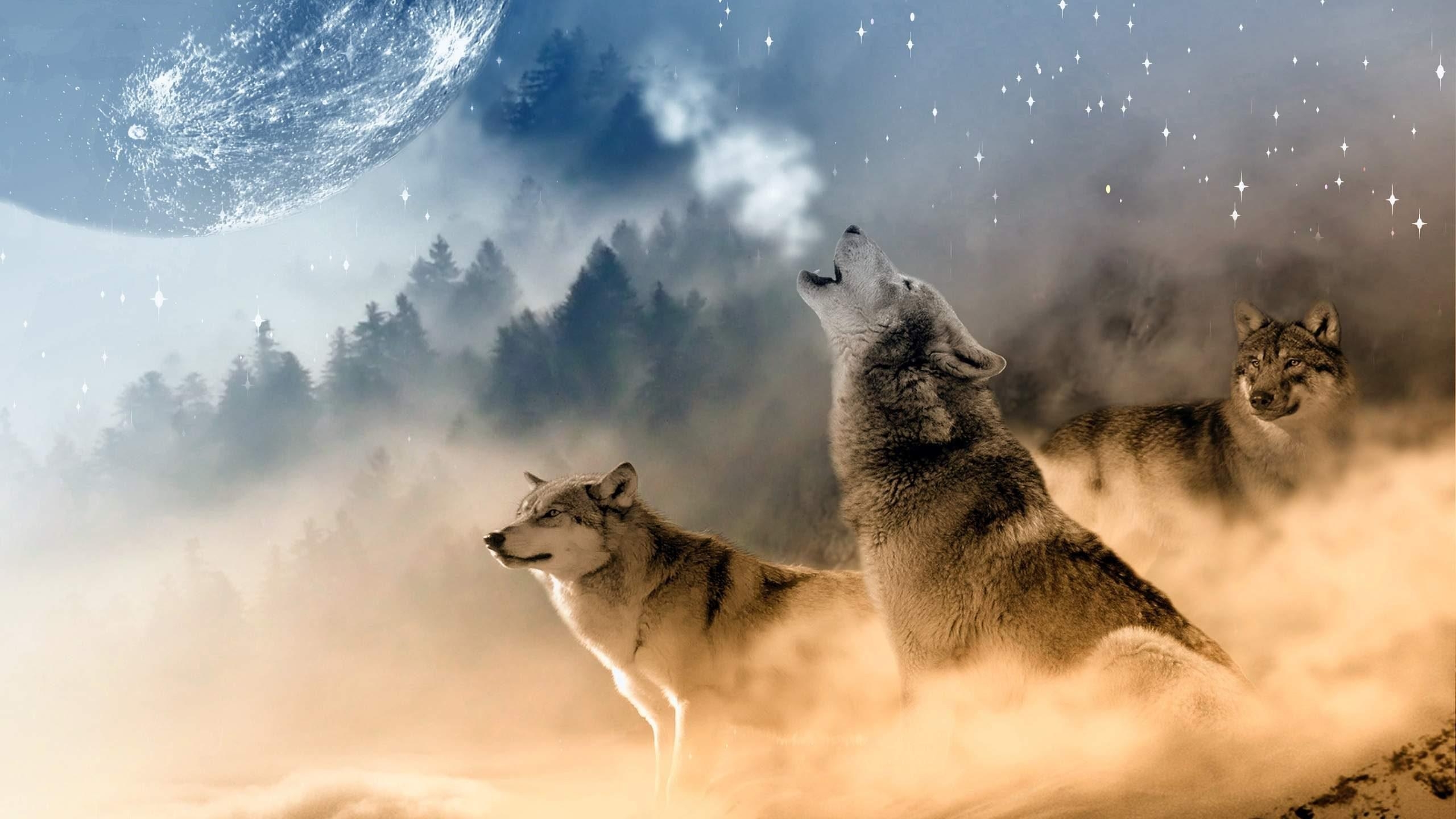 2560x1440 Wolf Howling At The Moon Wallpaper HD Download For Howl, Desktop