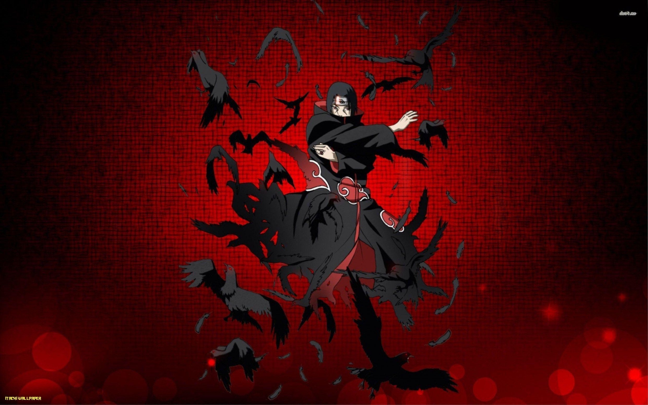 2490x1560 Itachi Wallpaper, Desktop