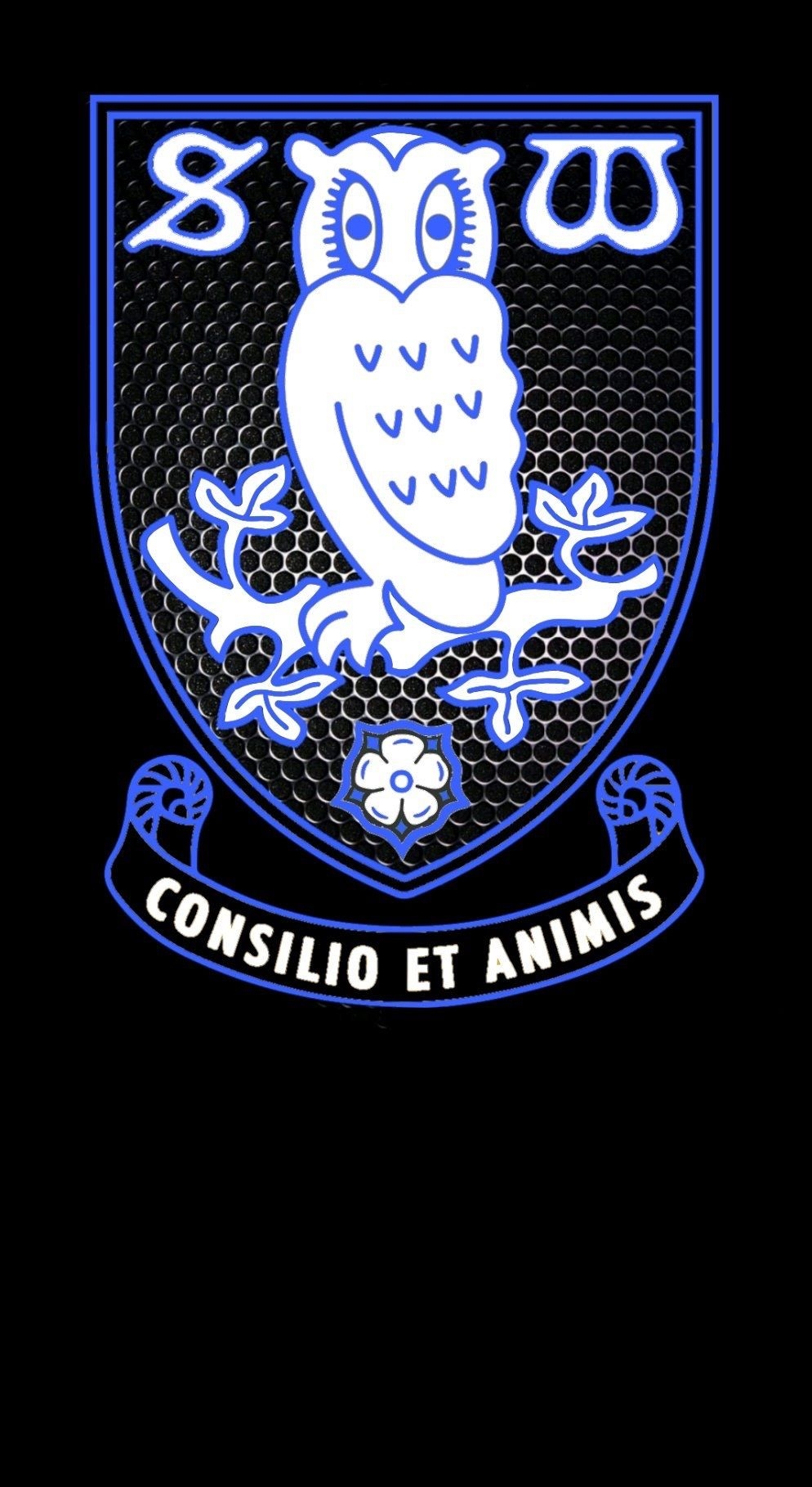 1000x1820 Sheffield wednesday wallpaper. Sheffield, Phone