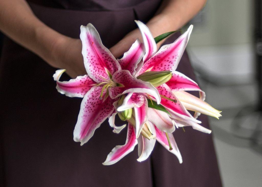 1030x740 Savvyish, Stylish, Wedding Flowers. Lilies, Desktop