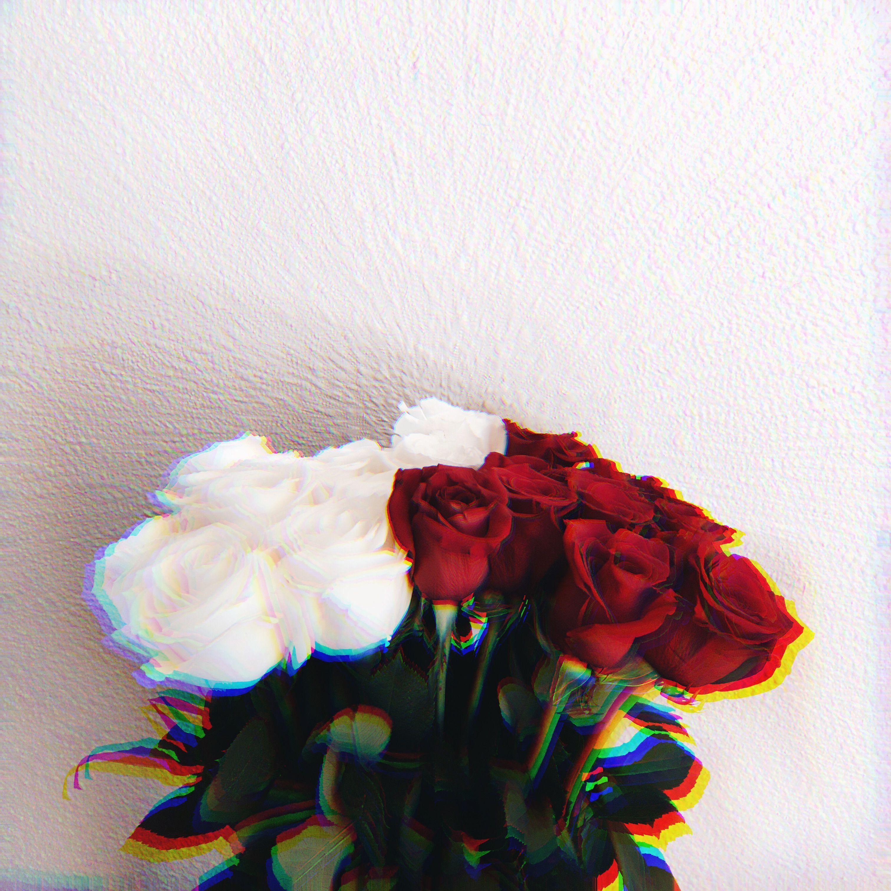 3030x3030 вlooм... Aesthetic roses, Phone