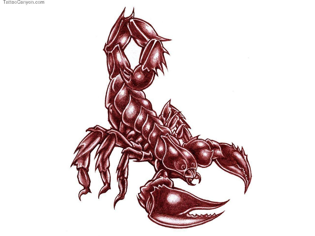 1280x960 Free Designs Big Bold Scorpion Tattoo Wallpaper Picture #, Desktop