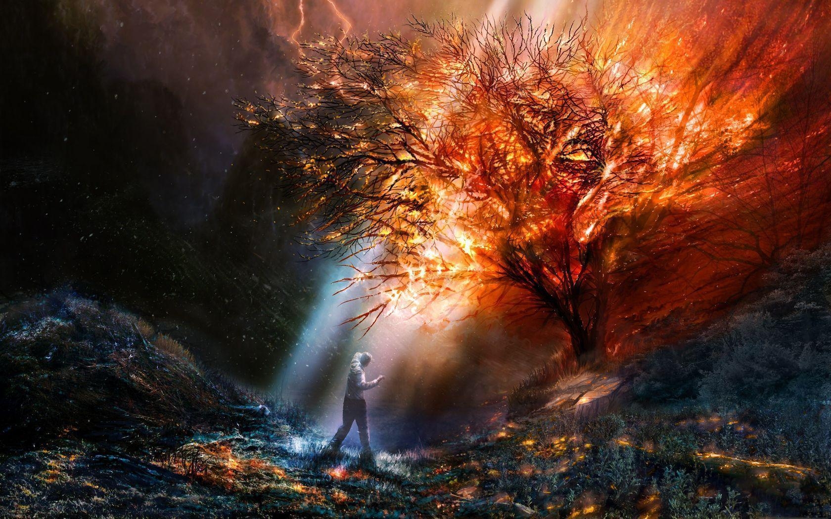 1680x1050 Download wallpaper fire, tree, light, one free desktop wallpaper, Desktop