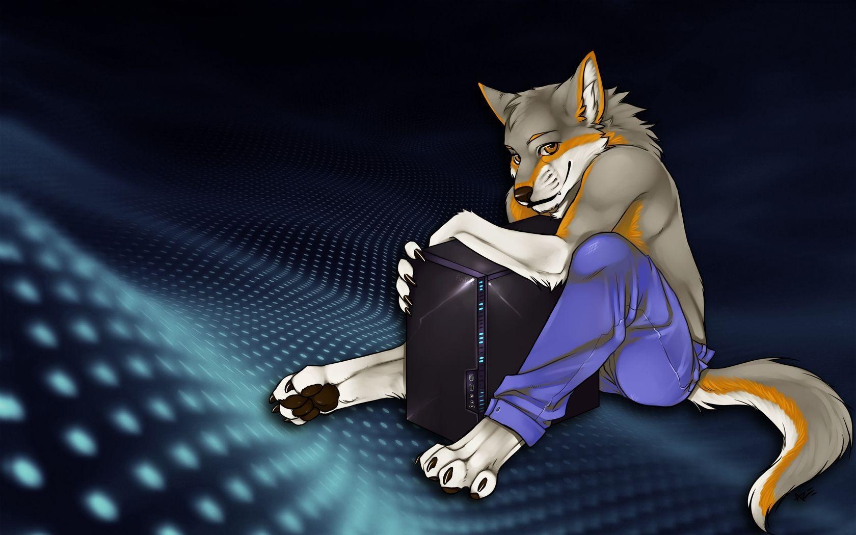 1680x1050 HD Furry Wallpaper, Desktop