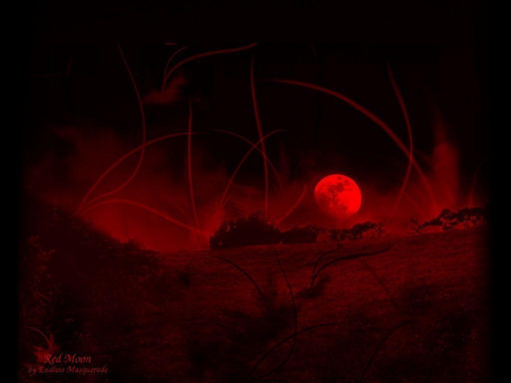 1030x770 Red Moon Wallpaper 1042x768, Desktop