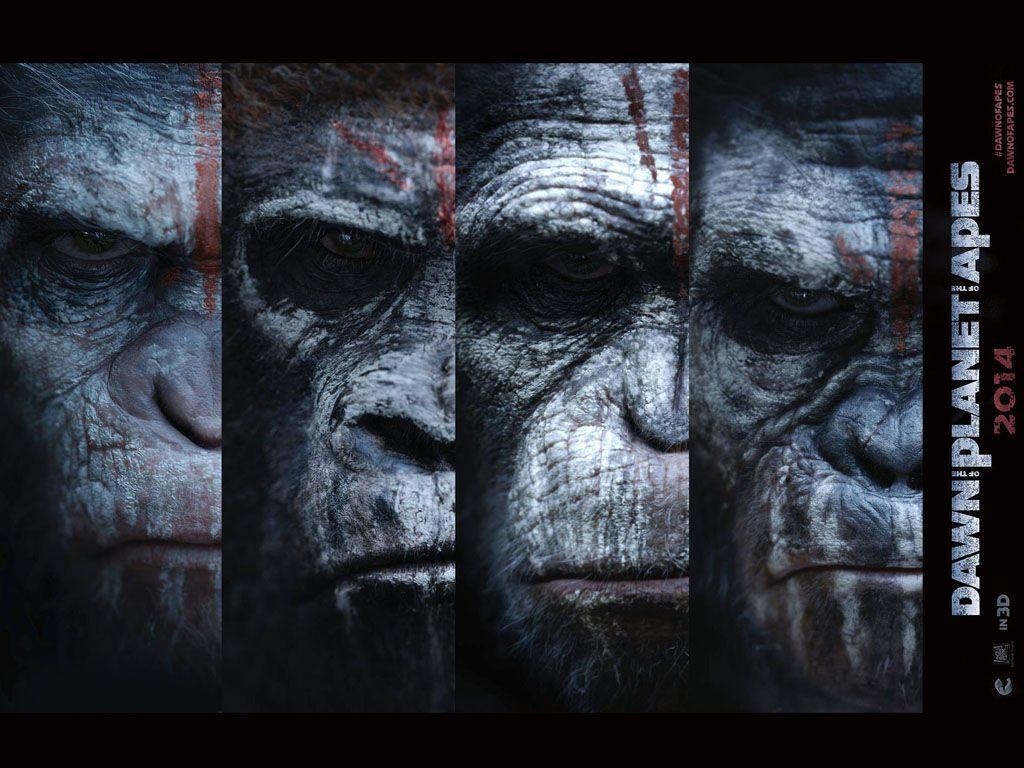 1030x770 Dawn of the Planet of the Apes HQ Movie Wallpaper, Desktop