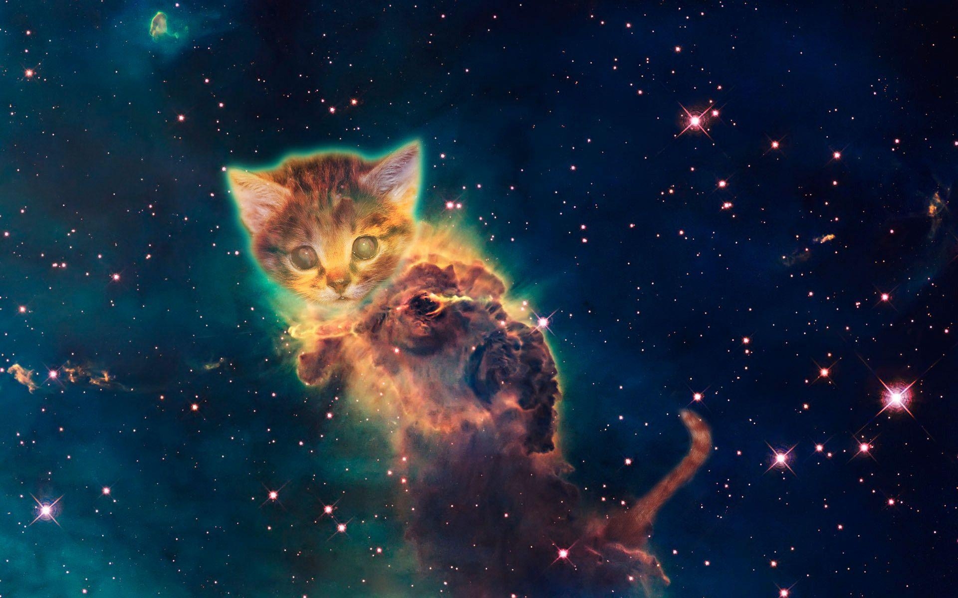 1920x1200 Galaxy Cat Wallpaper, Desktop