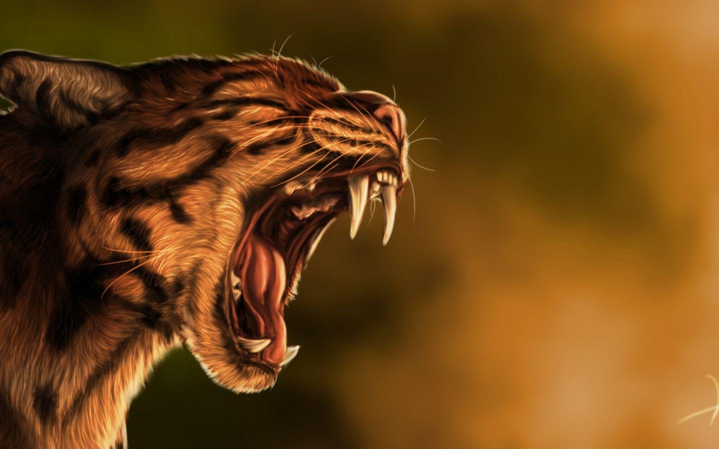 1440x900 Wild Cat widescreen wallpaper. Wide, Desktop