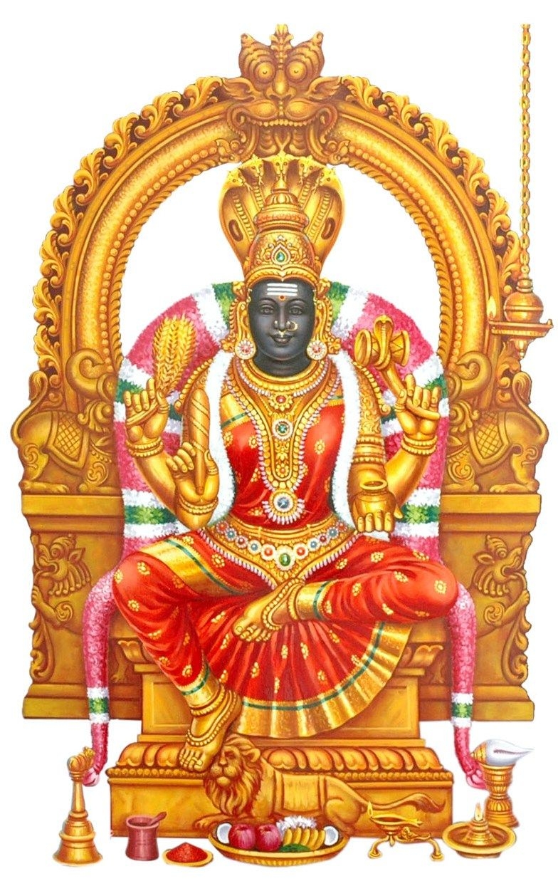 790x1250 Santhavasal, Phone