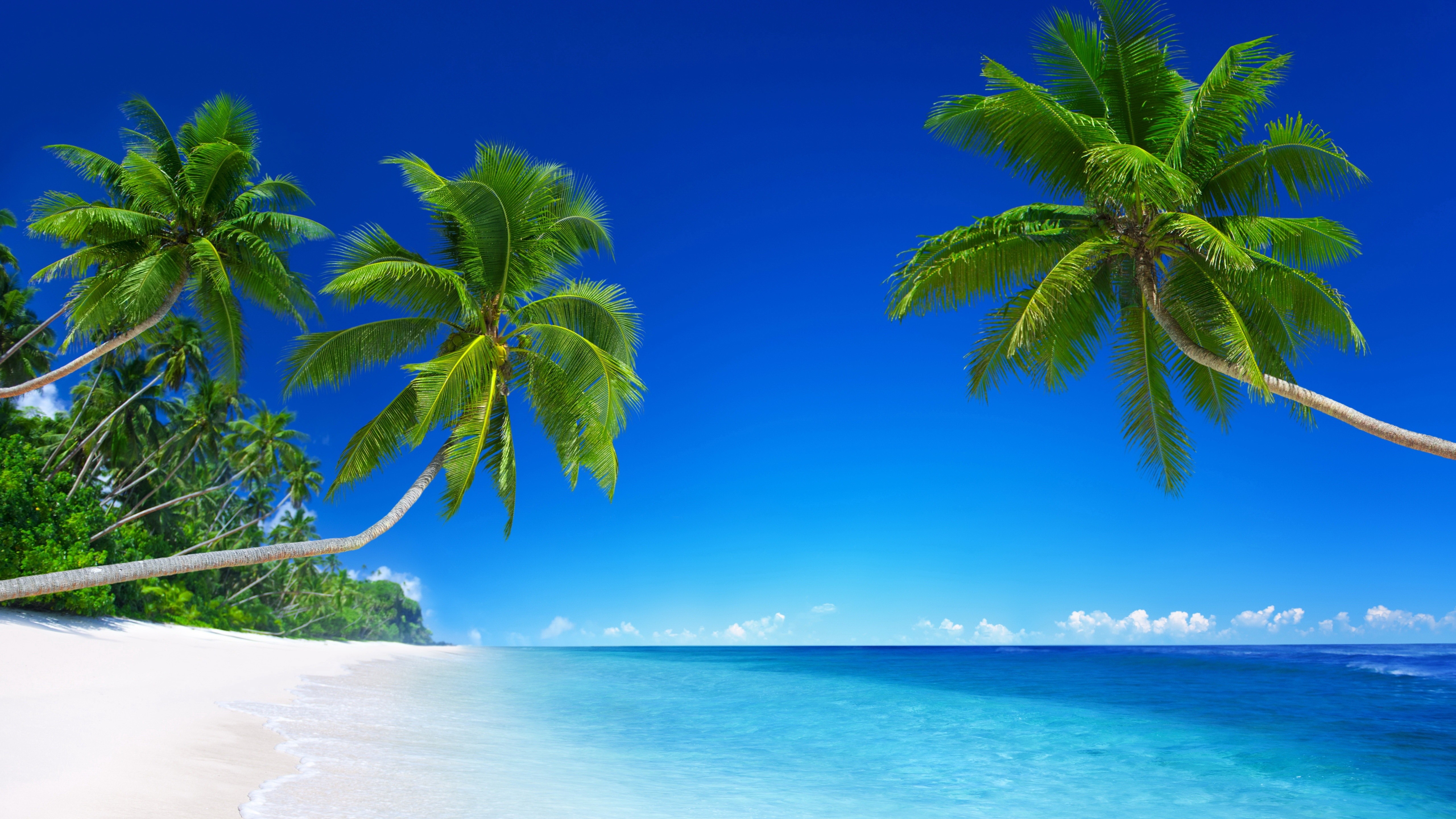 5120x2880 Wallpaper tropical beach, 5k, 4k wallpaper, 8k, paradise, palms, sea, blue, Nature, Desktop