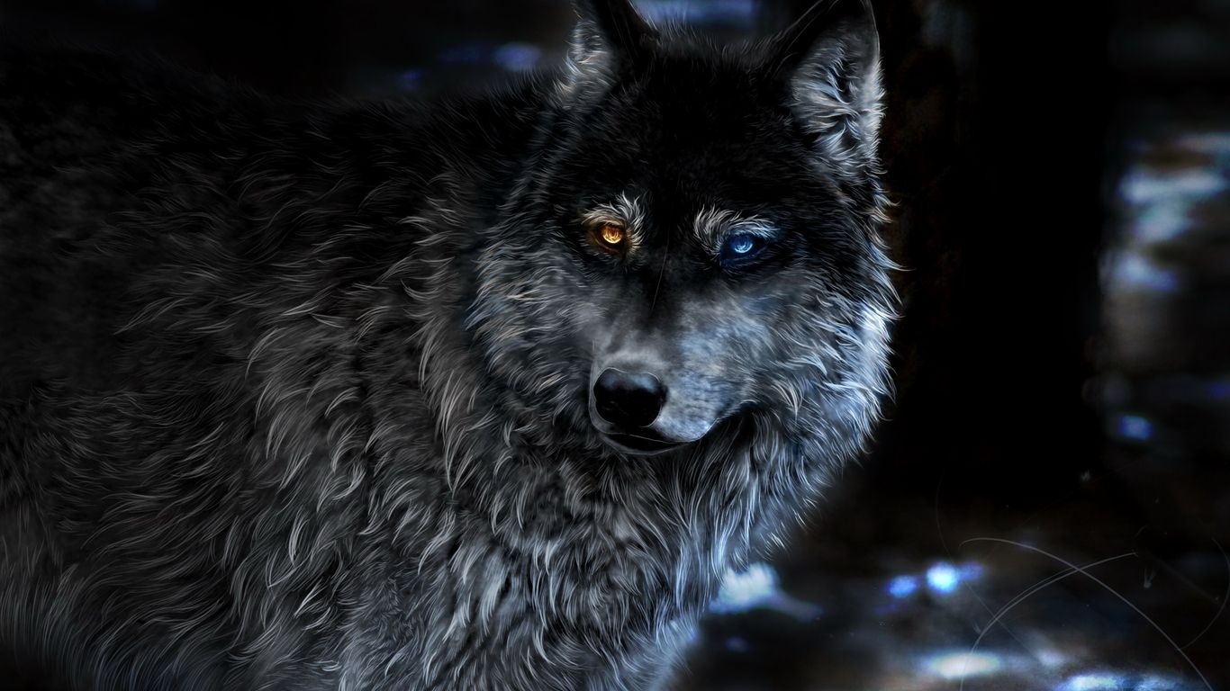 1370x770 Wolf Heterochromia Fantasy  Resolution HD 4k Wallpaper, Image, Background, Photo and Picture, Desktop