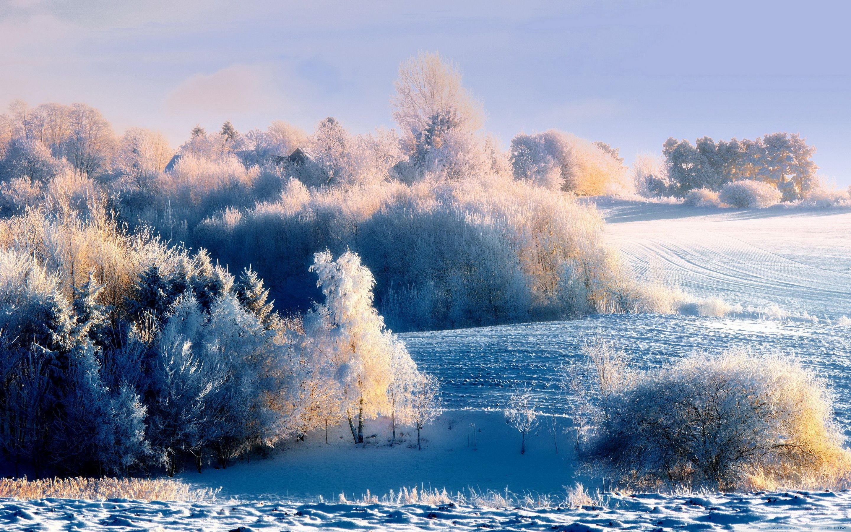 2880x1800 Snowy Landscape Wallpaper Reddit Wallpaper & Background Download, Desktop