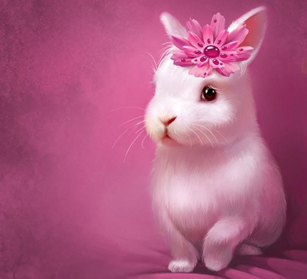 1030x940 Kawaii Bunny Wallpaper, Desktop