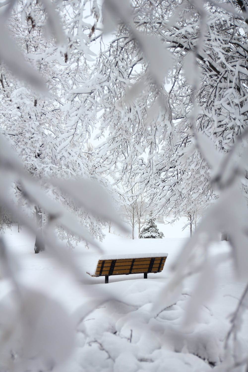 1000x1500 Free Beautiful Winter Wallpaper For iPhone That You'll Love, Phone