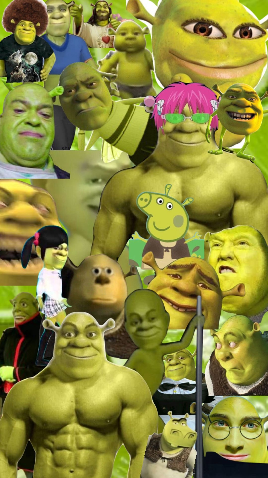 1080x1920 Shrek funny, Shrek, Wallpaper iphone love, Phone