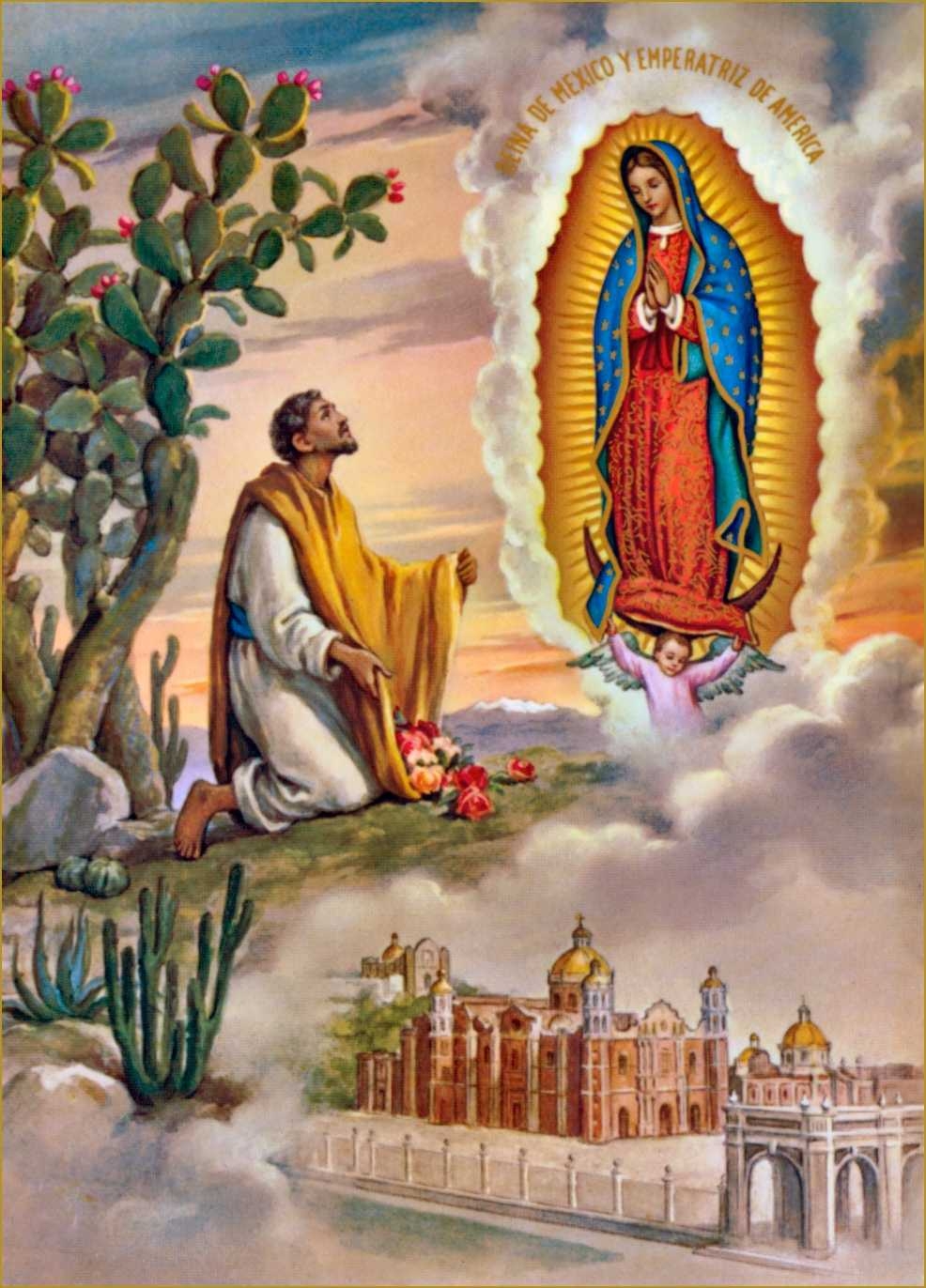 990x1380 Virgen De Guadalupe Wallpaper, Phone