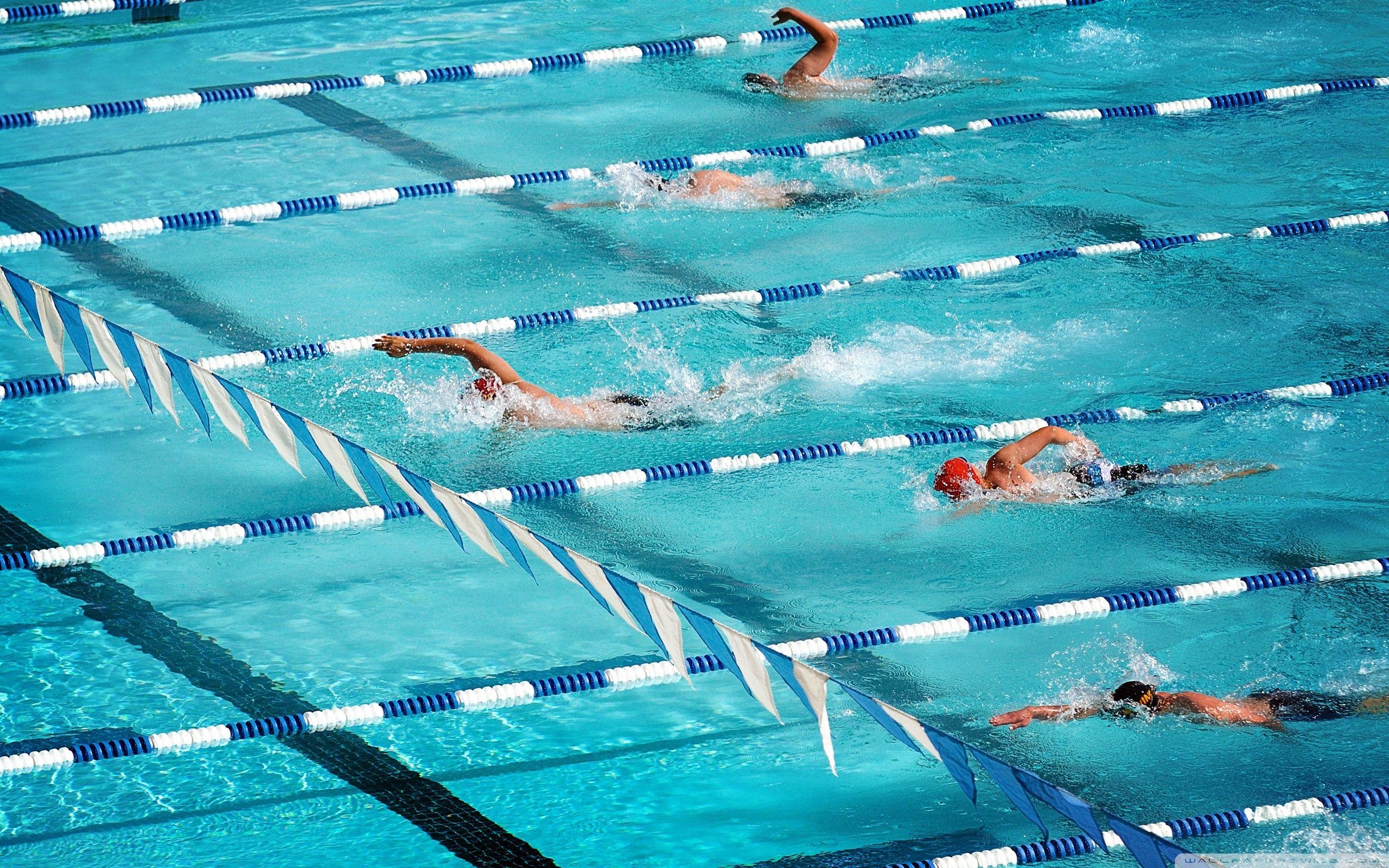 2560x1600 Swimmer Desktop Wallpaper Free Swimmer Desktop Background, Desktop