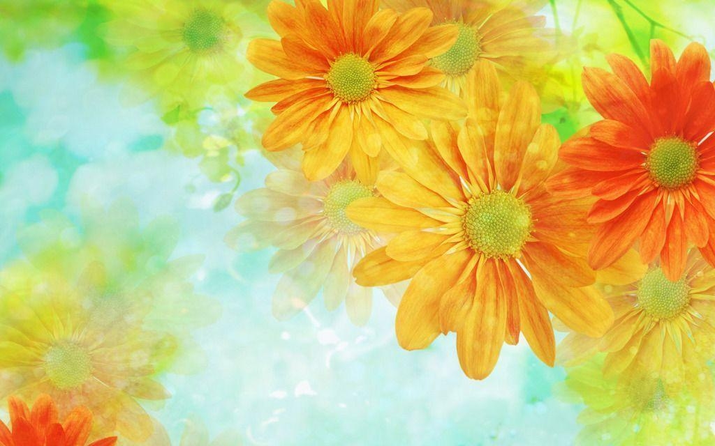 1030x640 Pretty Flowers Wallpaper and Picture Items, Desktop