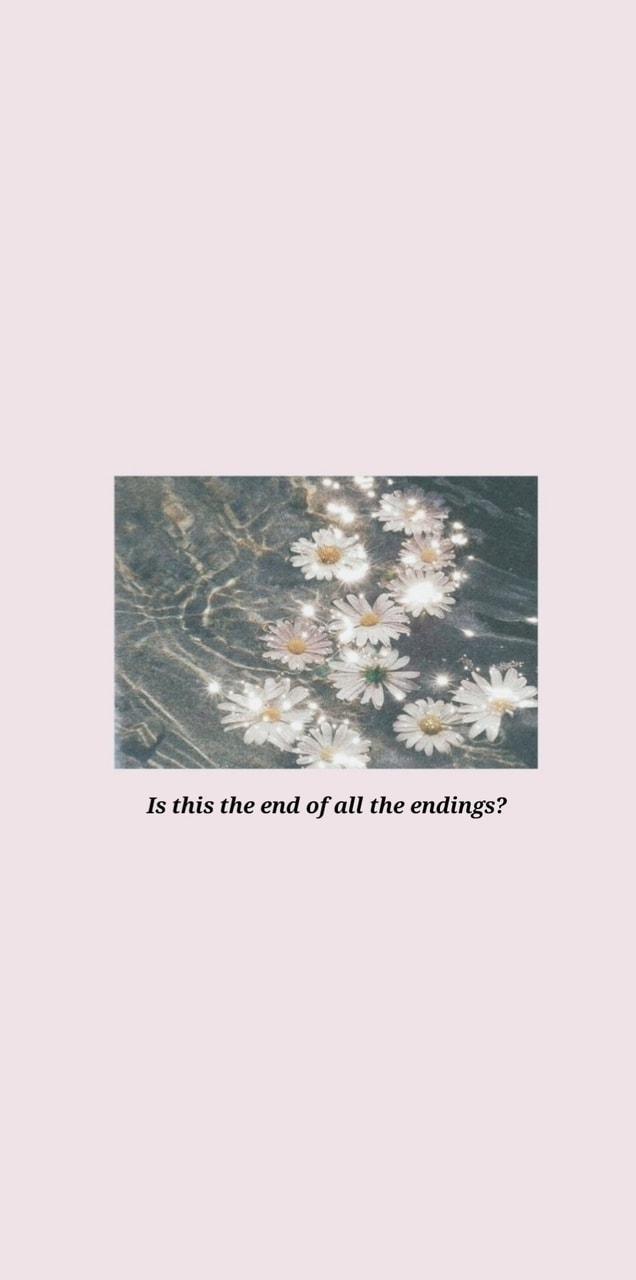 640x1280 flowers, taylor swift wallpaper and aesthetic, Phone