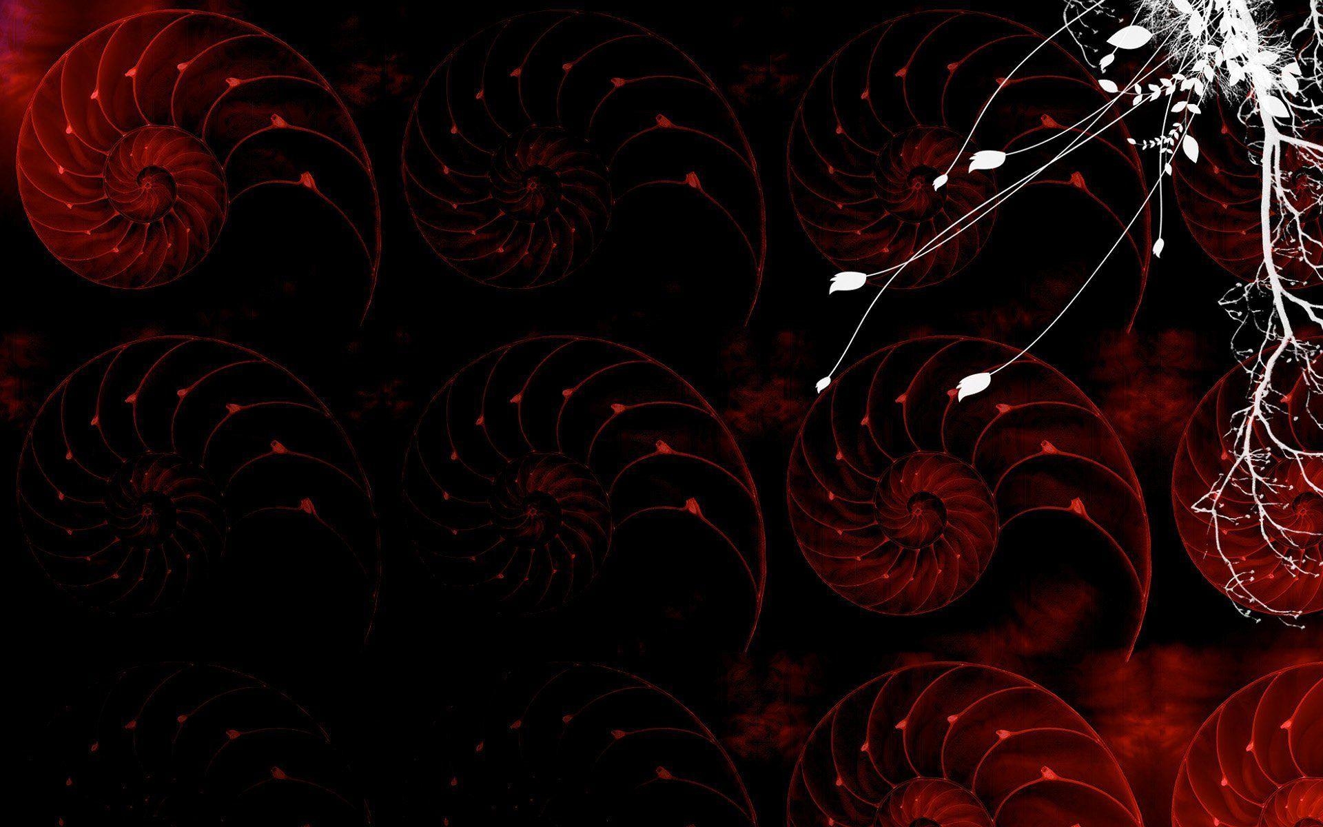 1920x1200 Nautilus wallpaper, Desktop