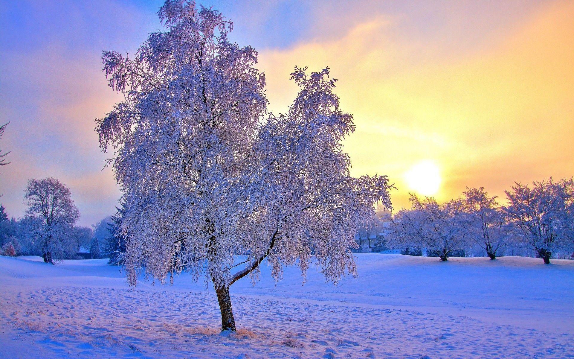 1920x1200 Winter Sunset Wallpaper, Desktop