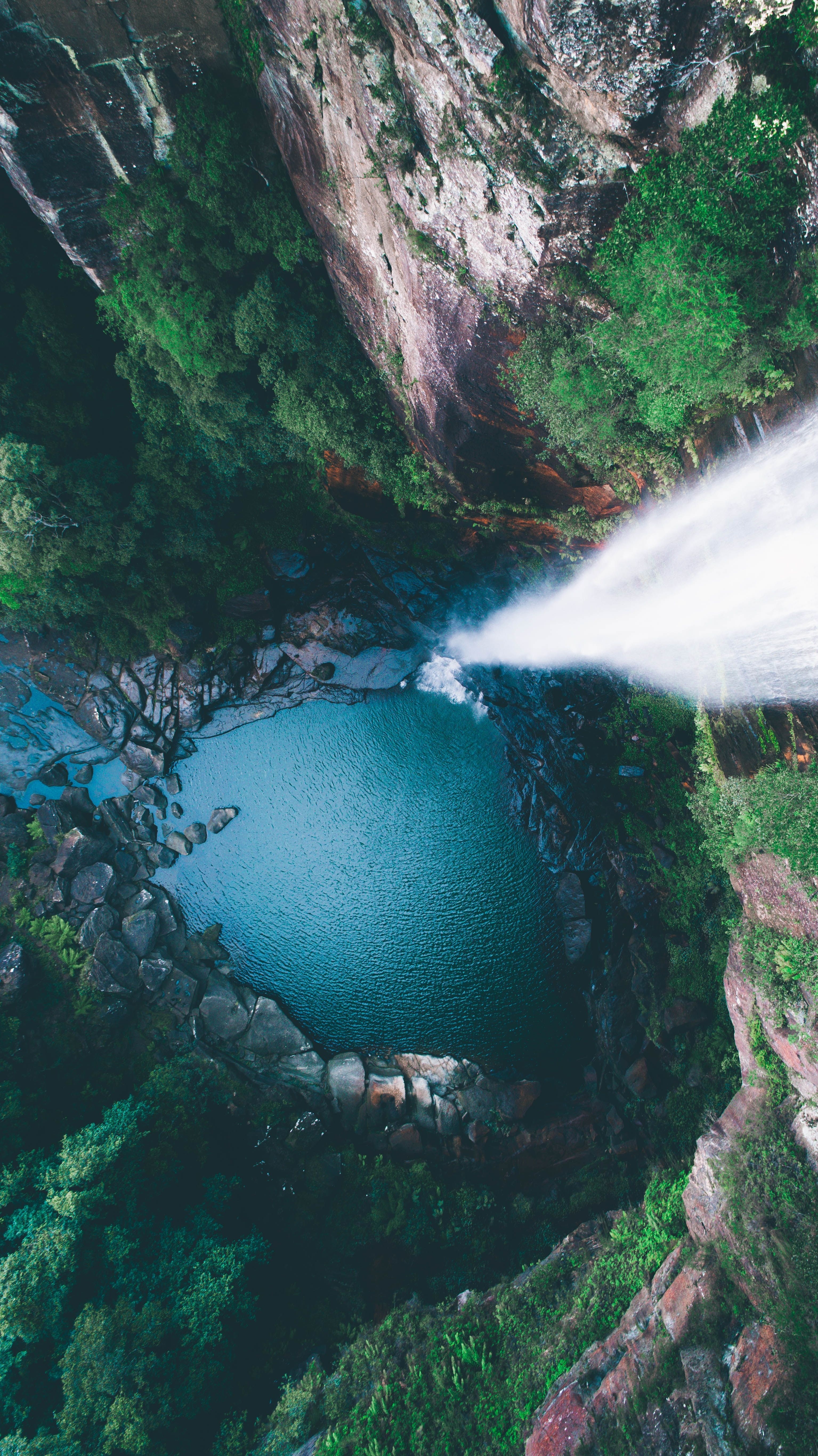 3070x5470 Stunning Rainforest Picture [HD]. Download Free Image, Phone