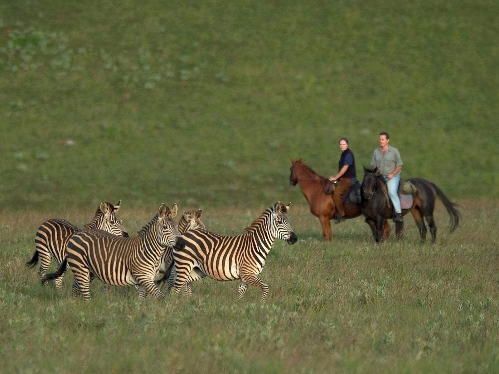 1600x1200 Horse riding in Nyika National Park, Desktop