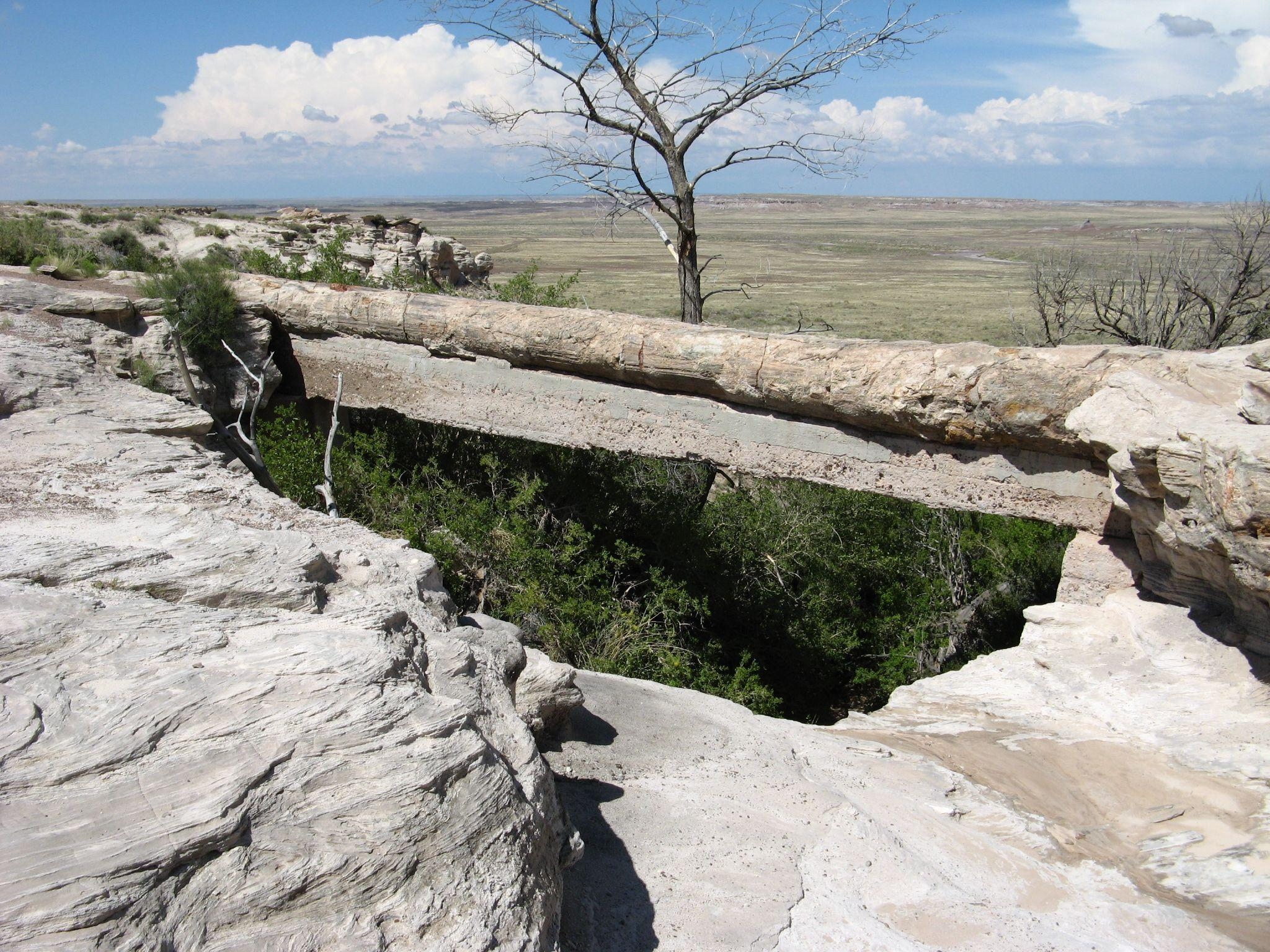 2050x1540 Agate Bridge Petrified Forest National, Desktop