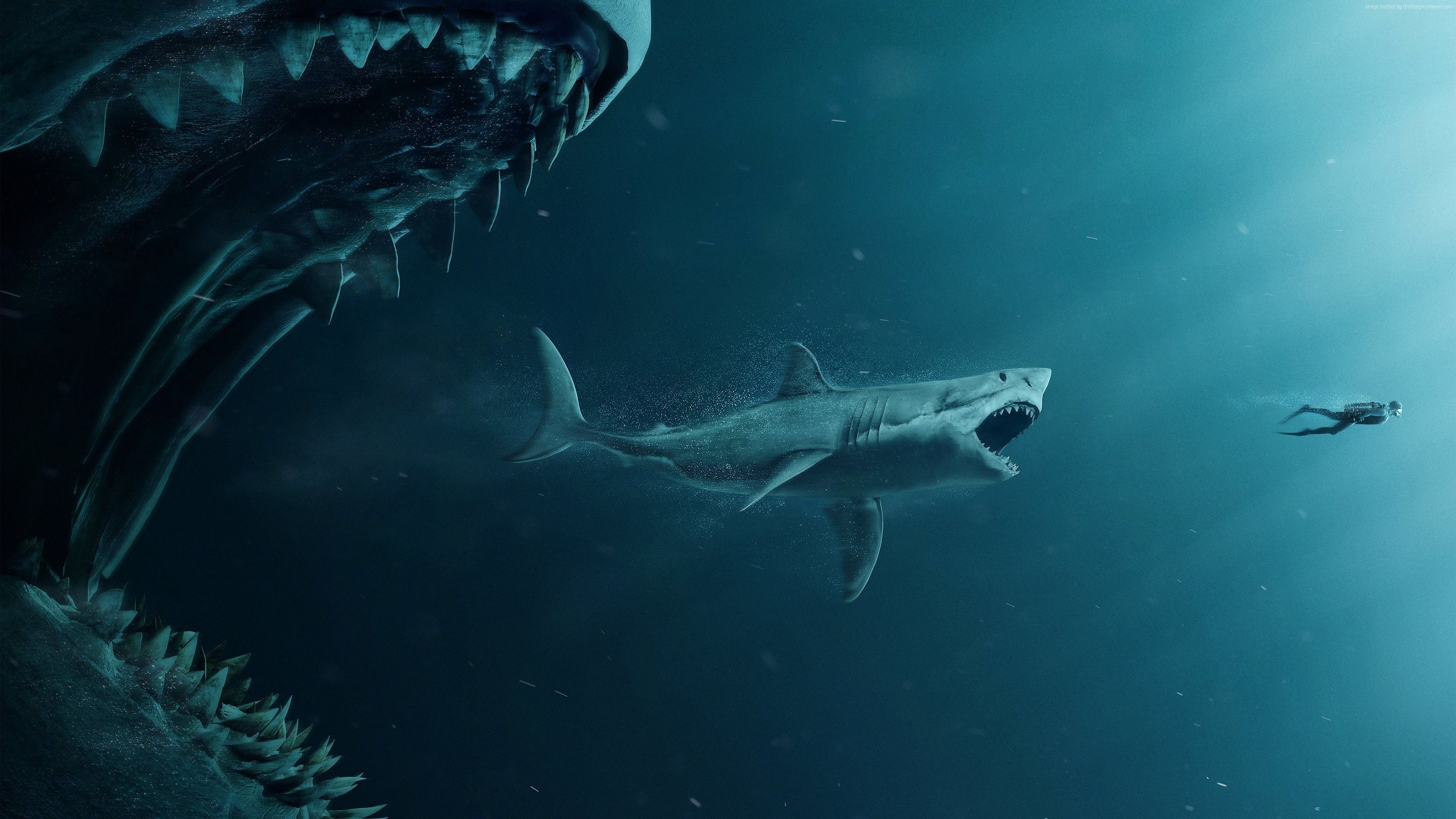 3840x2160 Megalodon Wallpaper Free Megalodon Background, Desktop