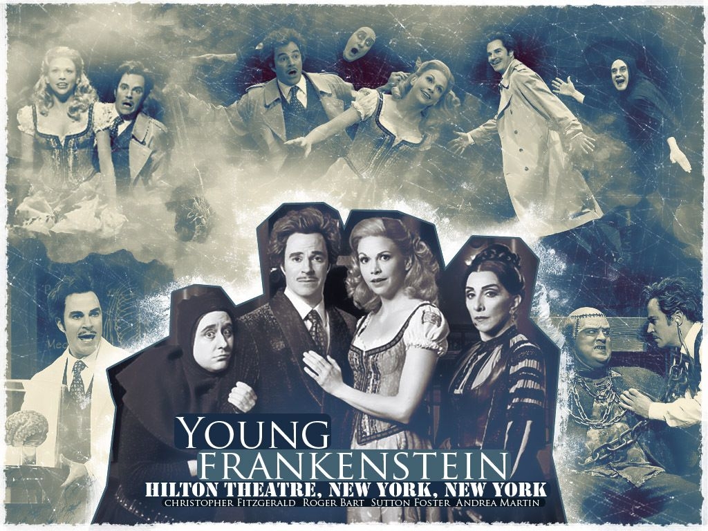 1030x770 Young Frankenstein Wallpaper, Desktop