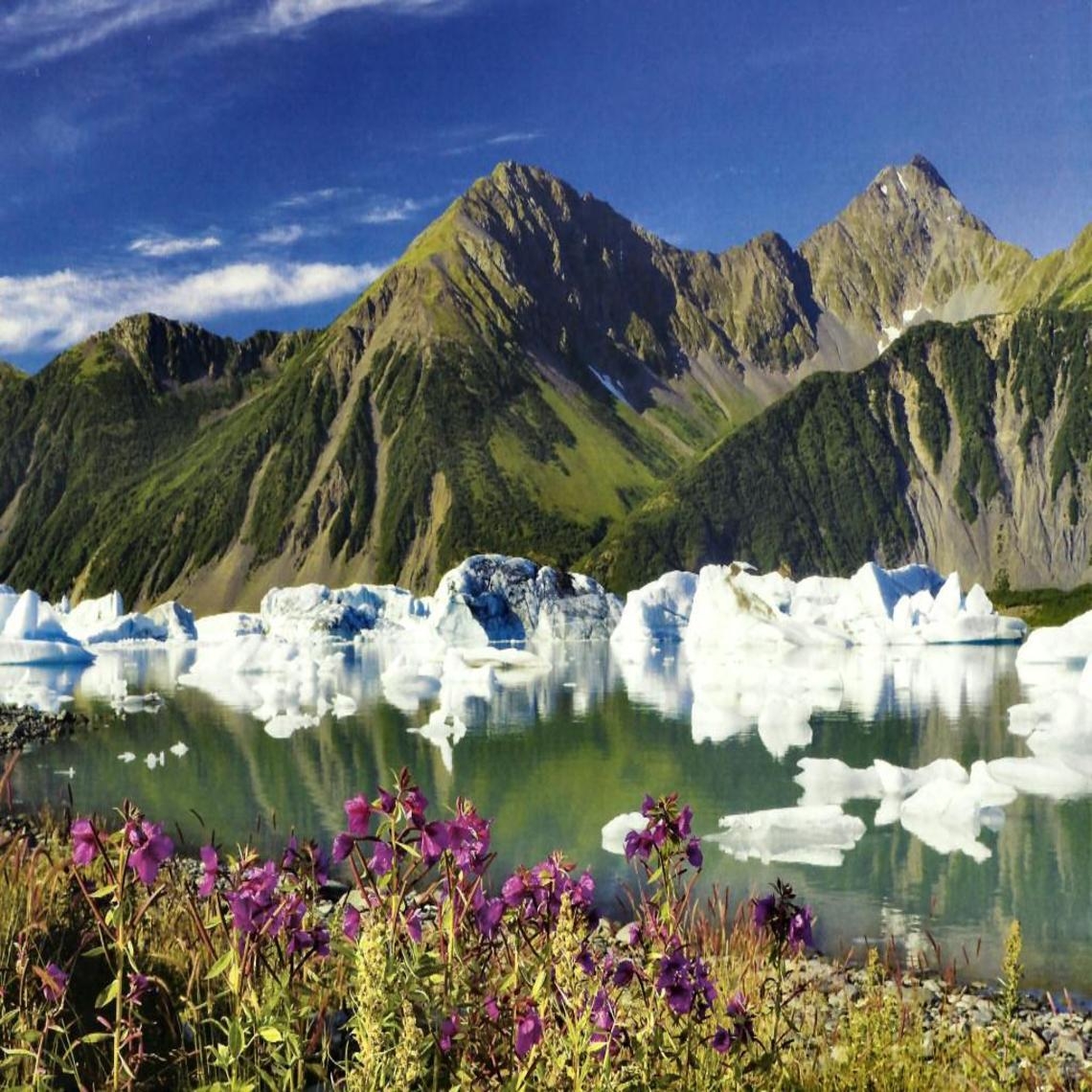 1140x1140 Kenai Fjords National Park f2. wallpaper. Kenai, Phone