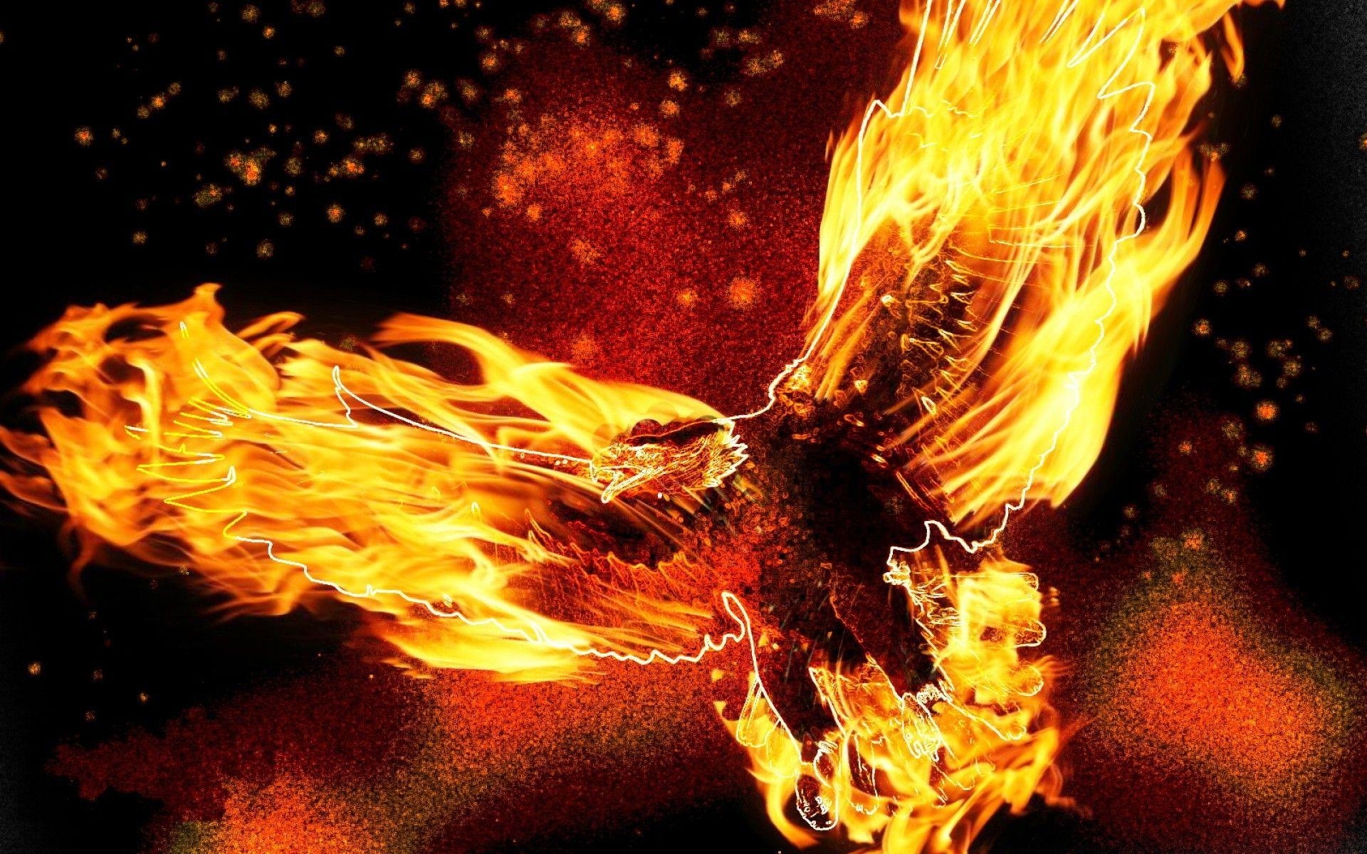 1920x1200 Bird eagle fire wallpaper and image, picture, photo, Desktop