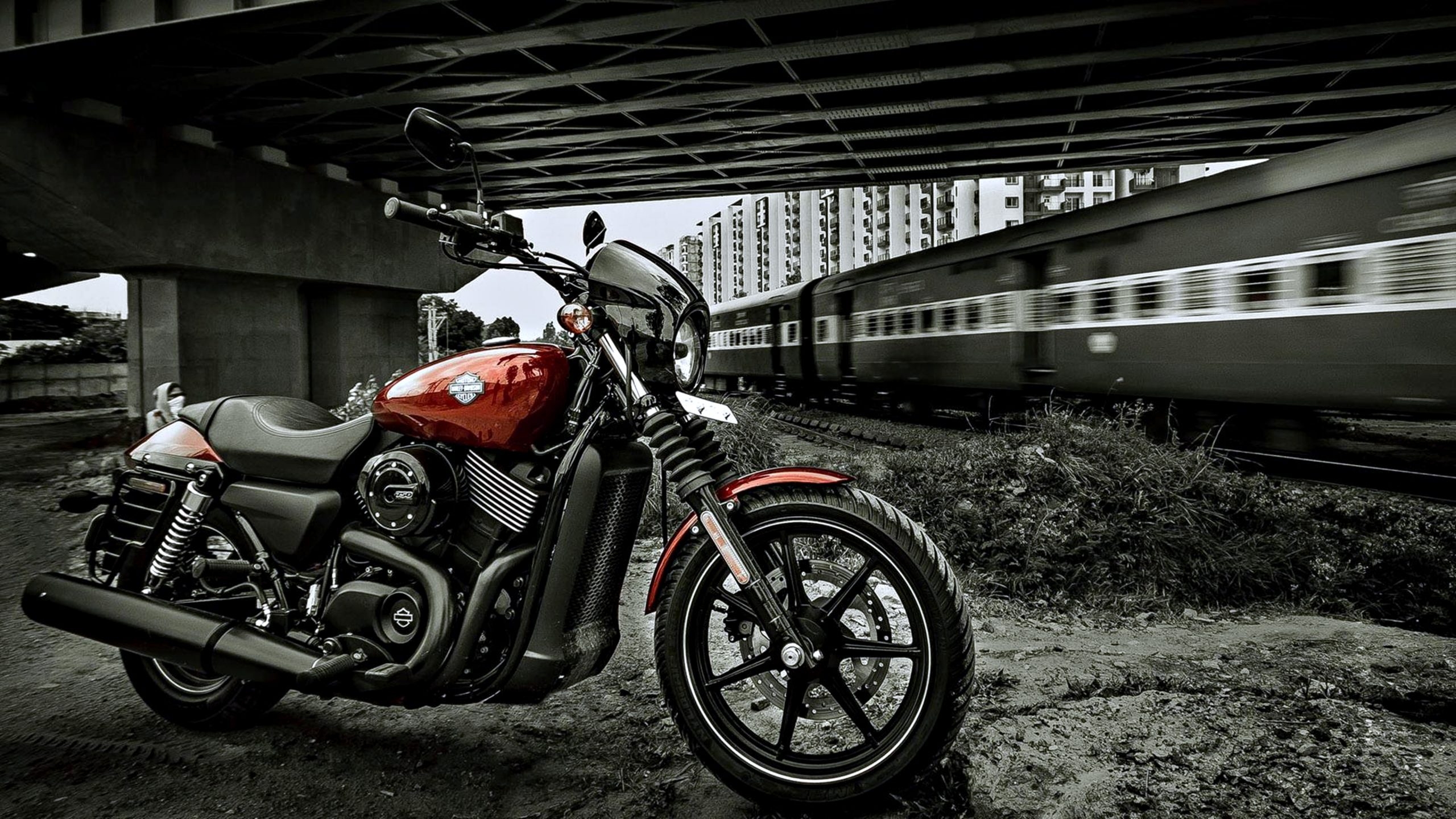 2560x1440 Harley Davidson [4K] Wallpaper, Desktop