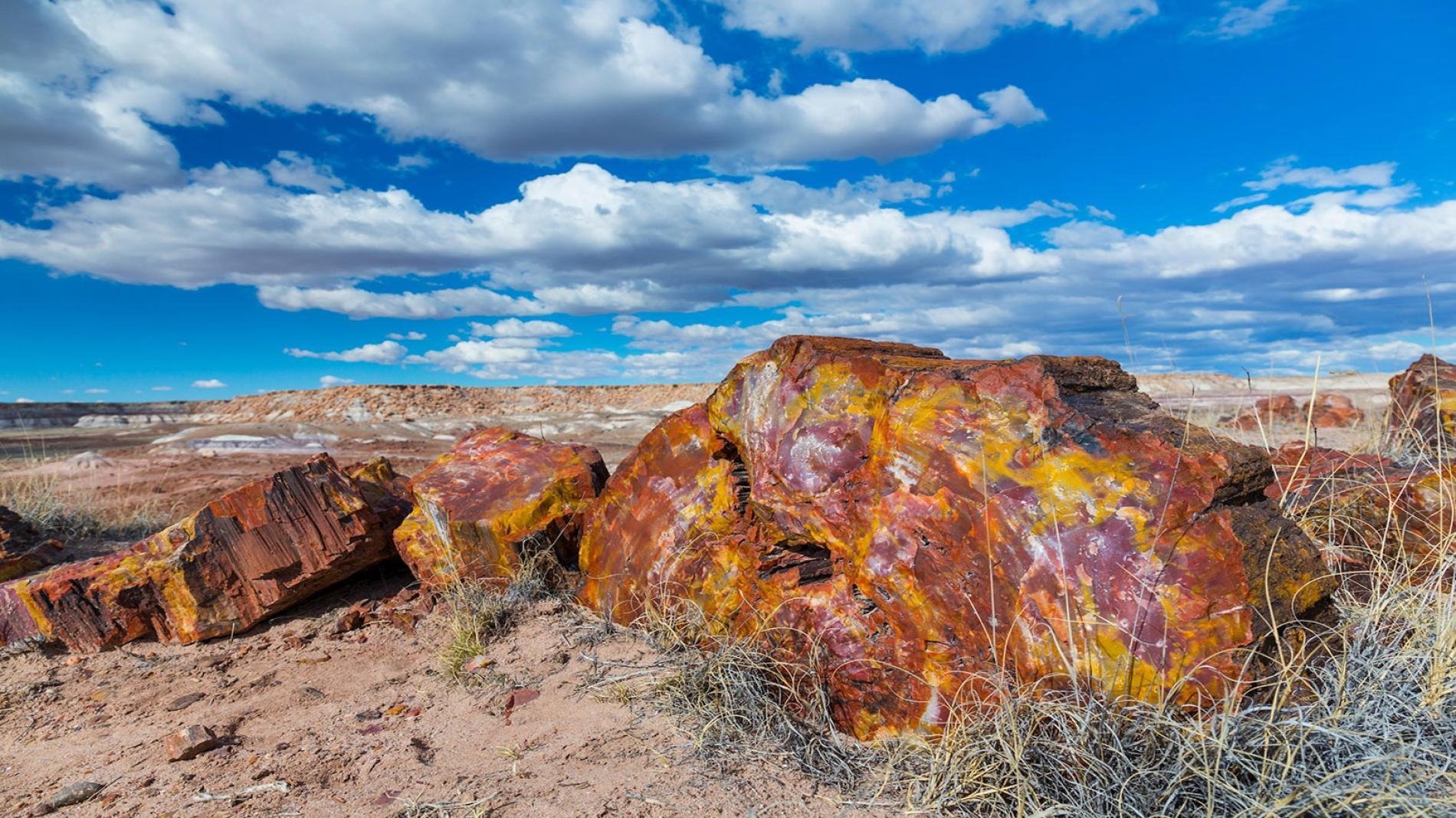 1900x1070 Petrified Forest National Park, Desktop