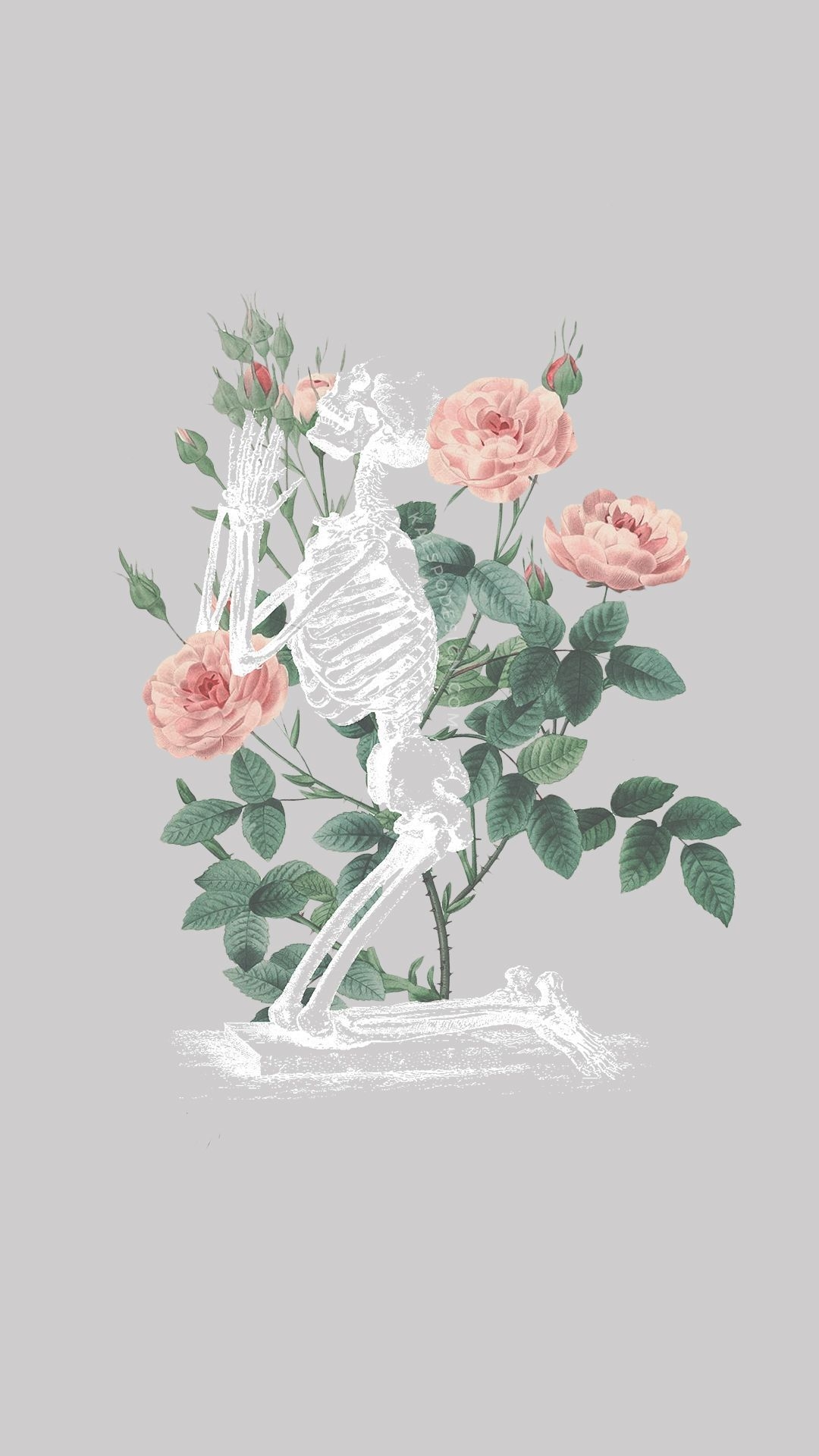 1080x1920 Aesthetic Skull Wallpaper Free.wallpaperaccess.com, Phone