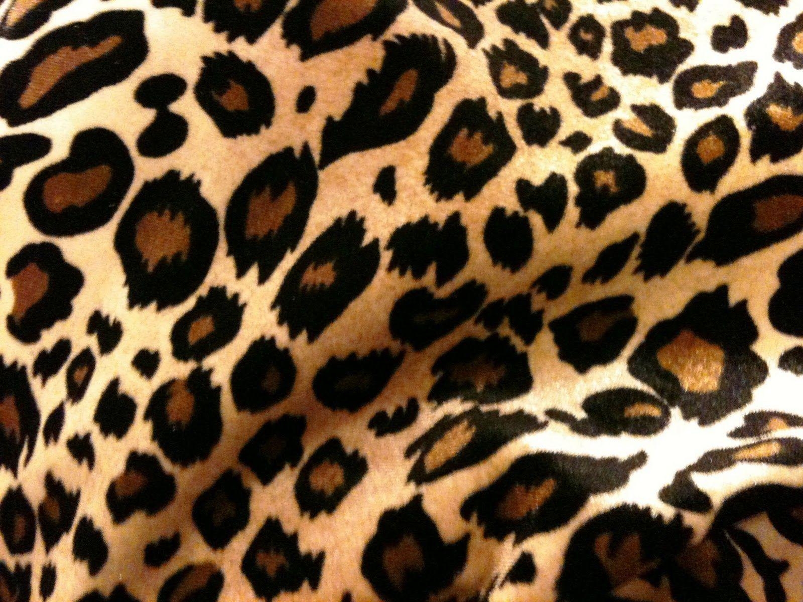 1600x1200 Cheetah Print HD Wallpaper, Desktop