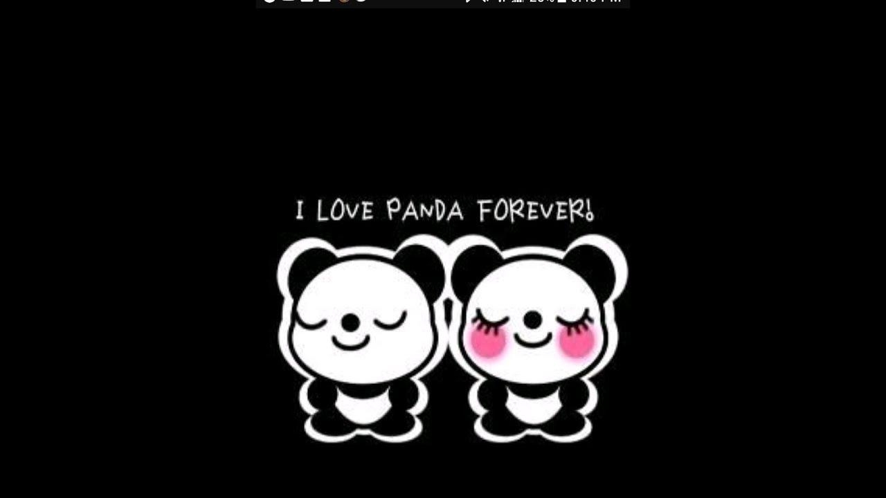 1280x720 Cute Panda Wallpaper, Desktop