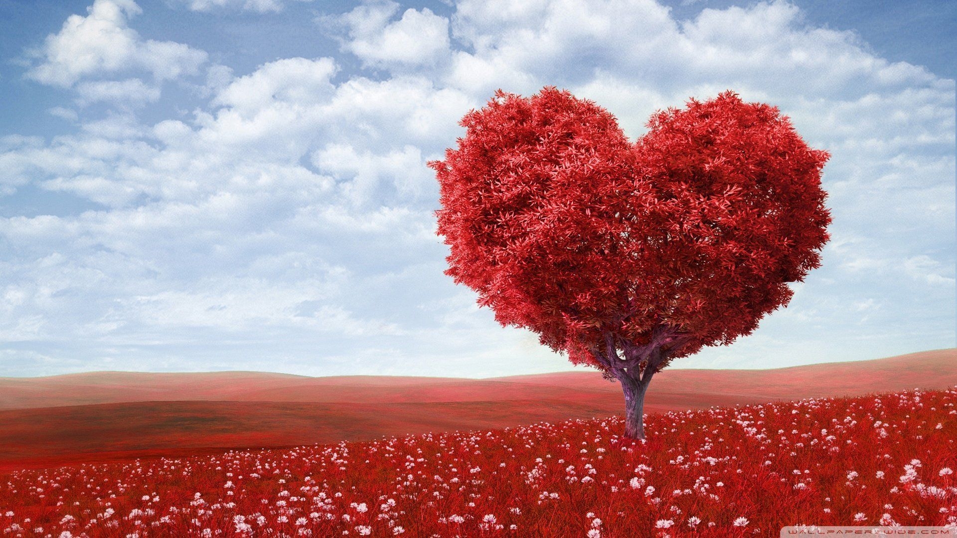 1920x1080 Heart Tree Desktop Wallpaper Free Heart Tree Desktop Background, Desktop